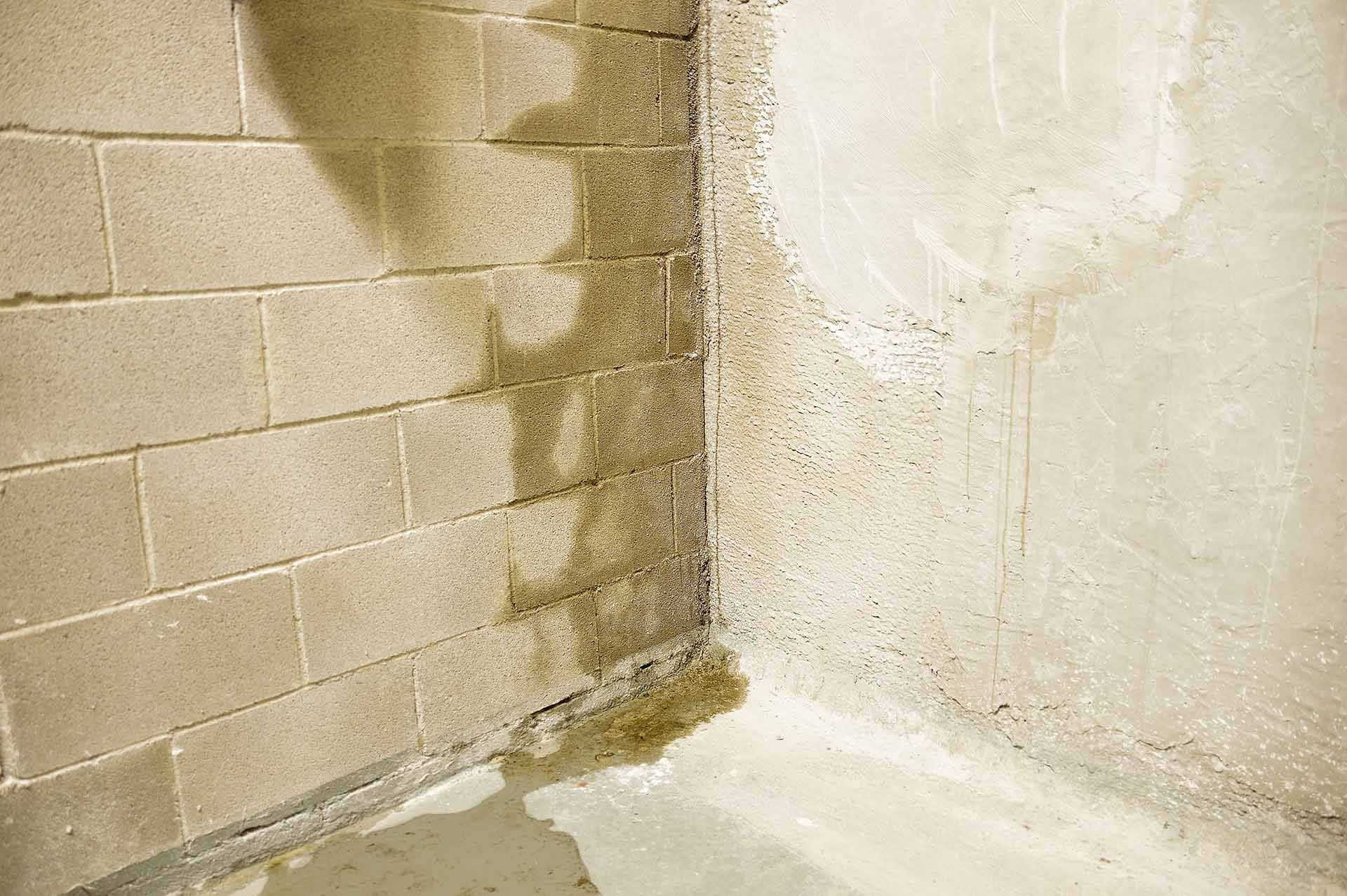 Wet basement wall