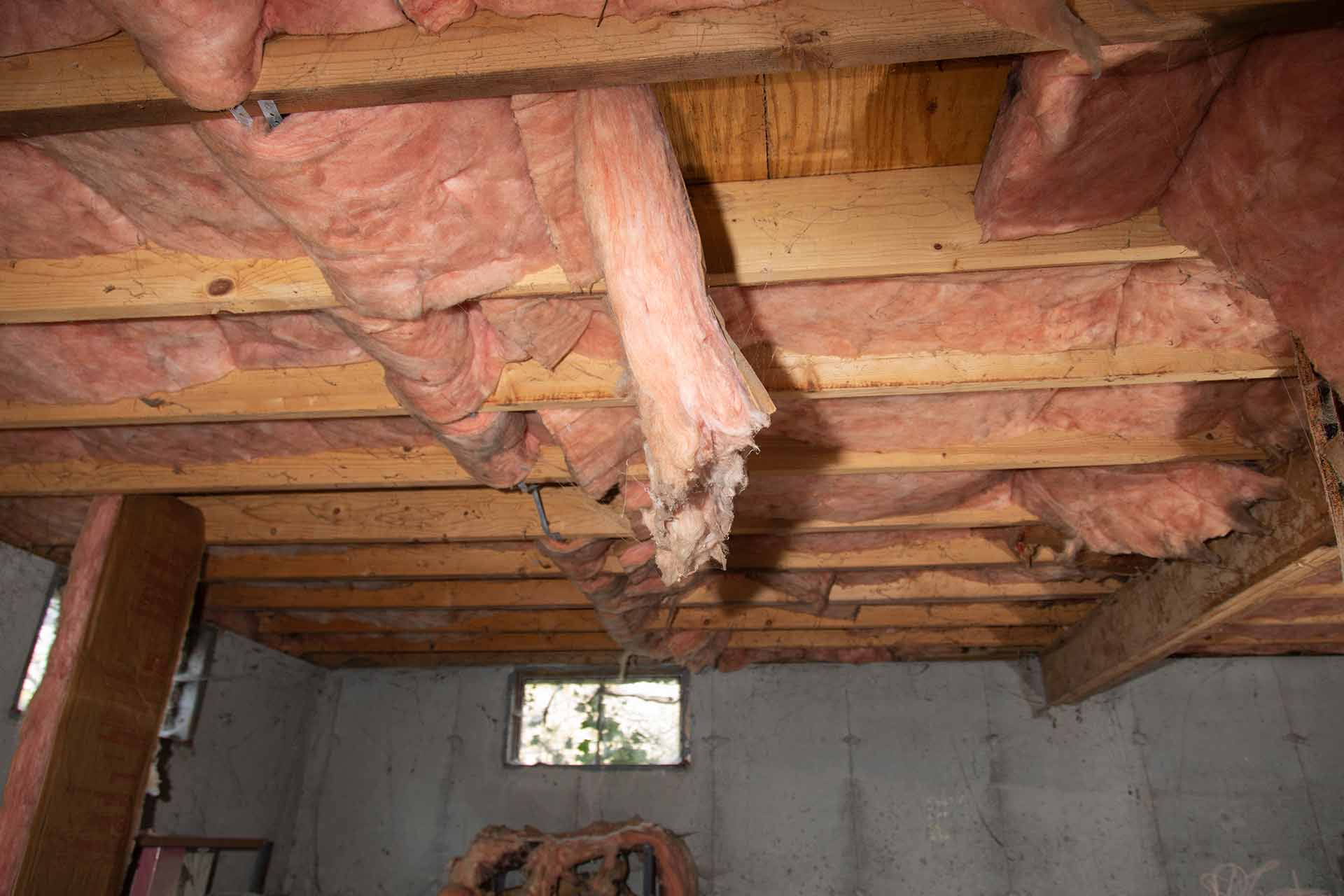 wet insulation in basement ceiling